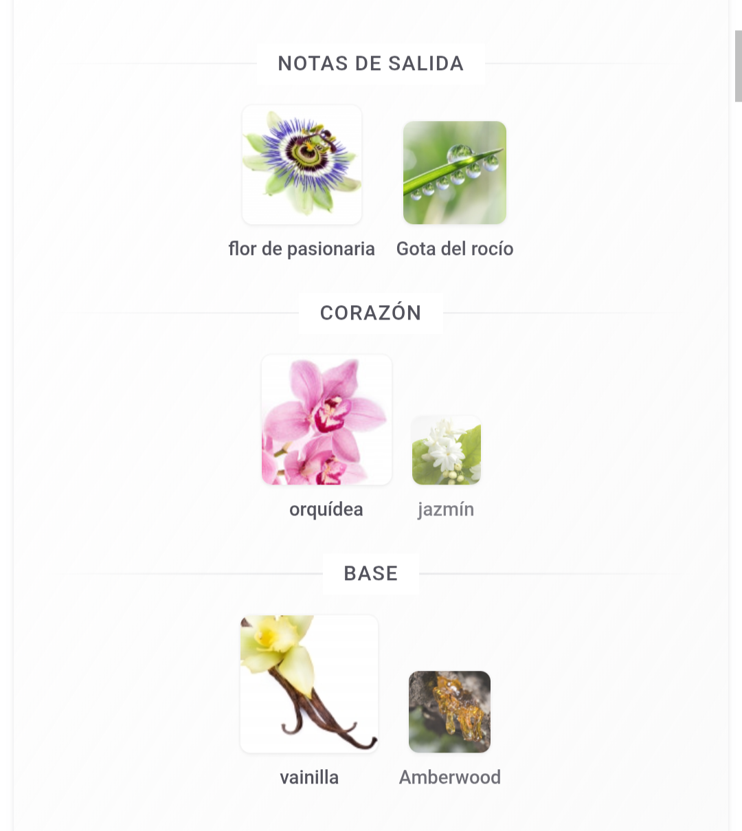 Atheeri Lattafa 100ml EDP