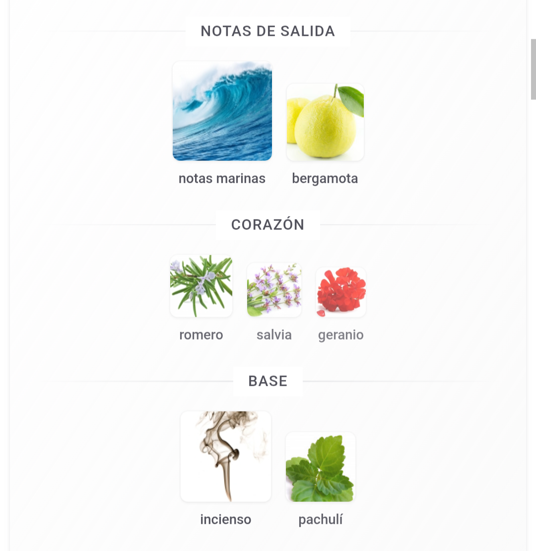 Acqua Di Gio Profumo 1.1