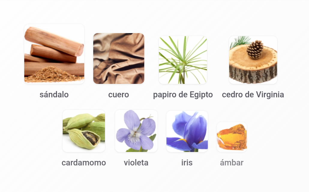 Santal 33 Le Labo 1.1 + Perfumero